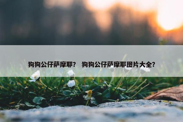 狗狗公仔萨摩耶？ 狗狗公仔萨摩耶图片大全？