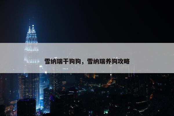 雪纳瑞干狗狗，雪纳瑞养狗攻略
