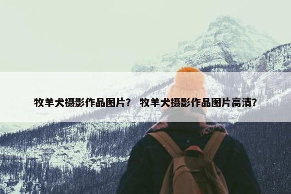 牧羊犬摄影作品图片？ 牧羊犬摄影作品图片高清？