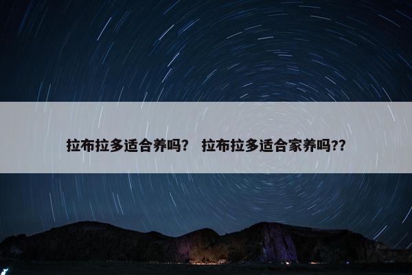 拉布拉多适合养吗？ 拉布拉多适合家养吗?？