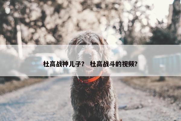 杜高战神儿子？ 杜高战斗的视频？