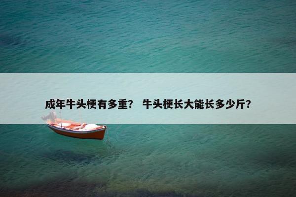 成年牛头梗有多重？ 牛头梗长大能长多少斤？