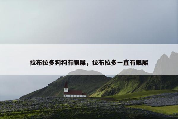 拉布拉多狗狗有眼屎，拉布拉多一直有眼屎