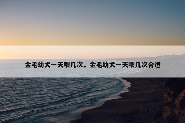 金毛幼犬一天喂几次，金毛幼犬一天喂几次合适