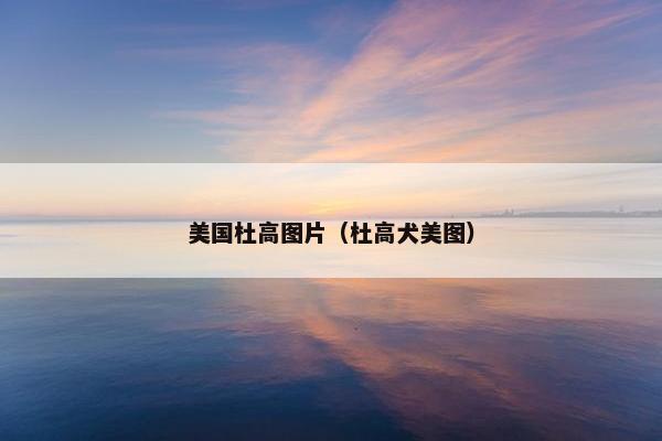 美国杜高图片（杜高犬美图）