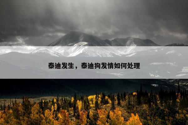 泰迪发生，泰迪狗发情如何处理