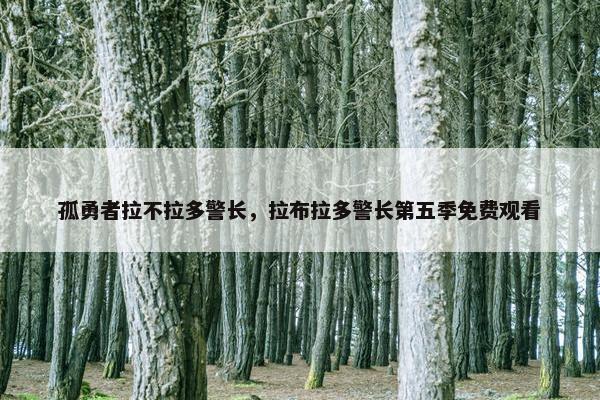 孤勇者拉不拉多警长，拉布拉多警长第五季免费观看