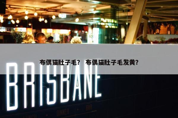 布偶猫肚子毛？ 布偶猫肚子毛发黄？