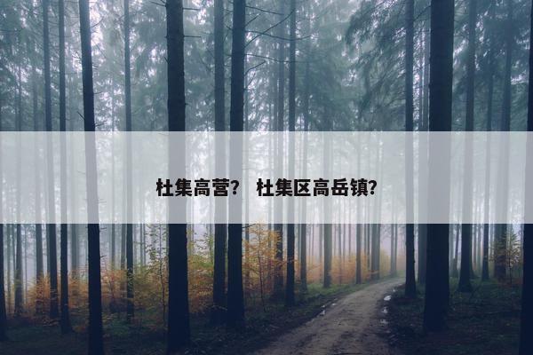 杜集高营？ 杜集区高岳镇？