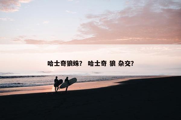 哈士奇狼蛛？ 哈士奇 狼 杂交？