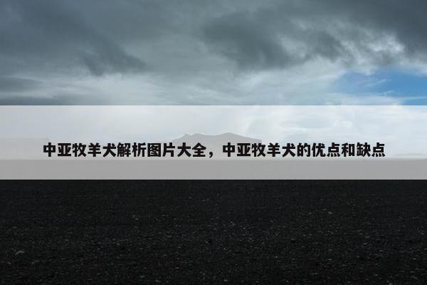 中亚牧羊犬解析图片大全，中亚牧羊犬的优点和缺点