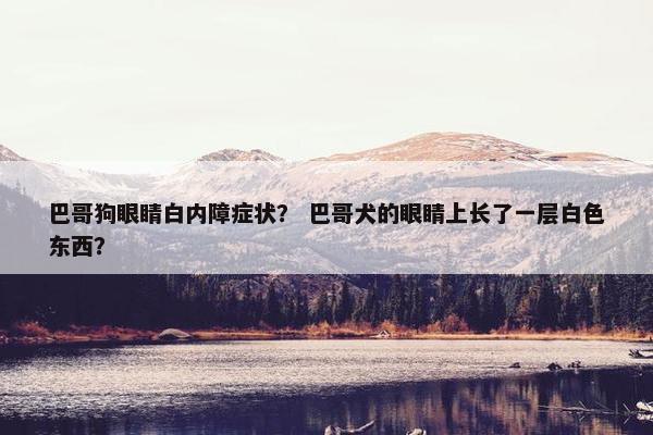 巴哥狗眼睛白内障症状？ 巴哥犬的眼睛上长了一层白色东西？