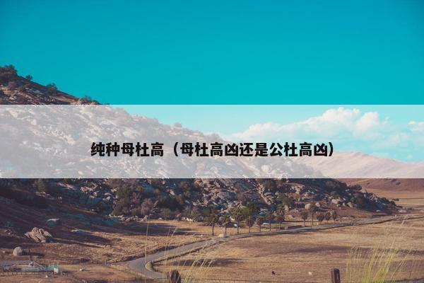 纯种母杜高（母杜高凶还是公杜高凶）