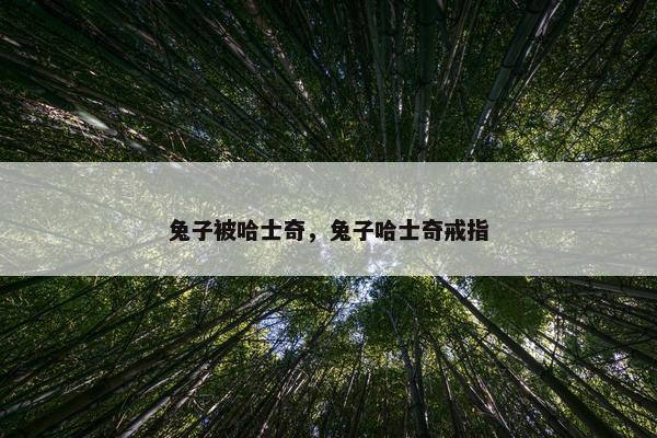 兔子被哈士奇，兔子哈士奇戒指