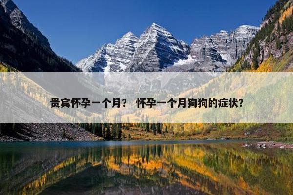 贵宾怀孕一个月？ 怀孕一个月狗狗的症状？