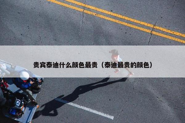 贵宾泰迪什么颜色最贵（泰迪最贵的颜色）