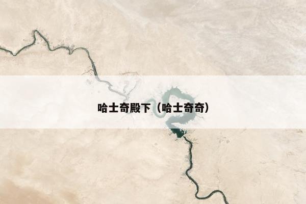 哈士奇殿下（哈士奇奇）