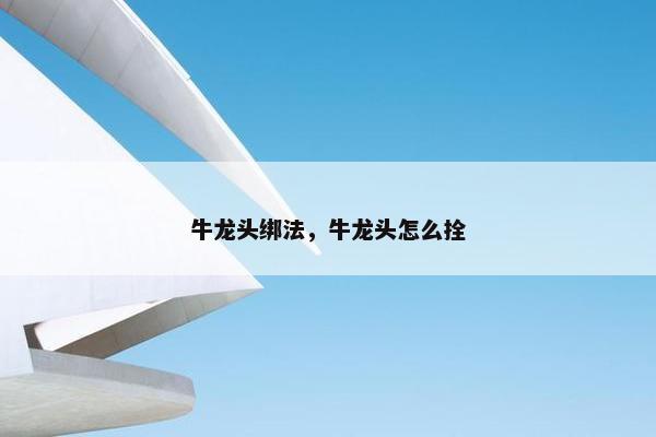 牛龙头绑法，牛龙头怎么拴