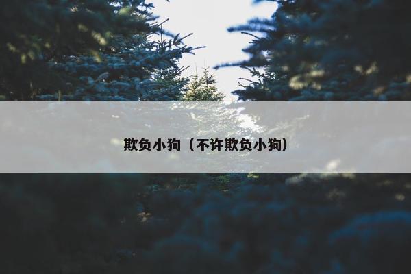 欺负小狗（不许欺负小狗）