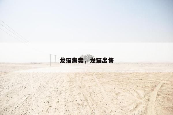 龙猫售卖，龙猫出售