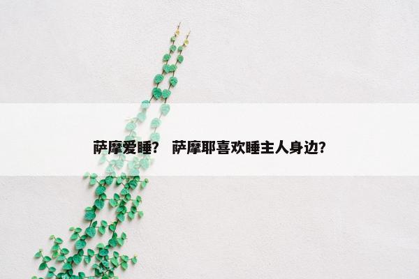 萨摩爱睡？ 萨摩耶喜欢睡主人身边？