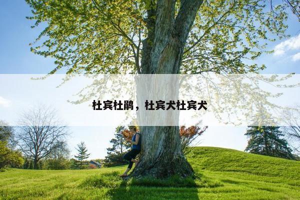 杜宾杜鹃,杜宾犬杜宾犬 杜宾杜鹃,杜宾犬杜宾犬