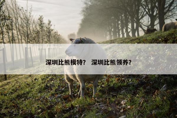 深圳比熊模特? 深圳比熊领养? 深圳比熊模特? 深圳比熊领养?