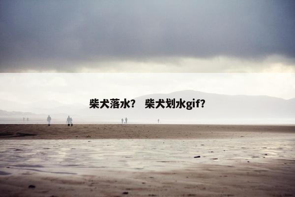 柴犬落水？ 柴犬划水gif？