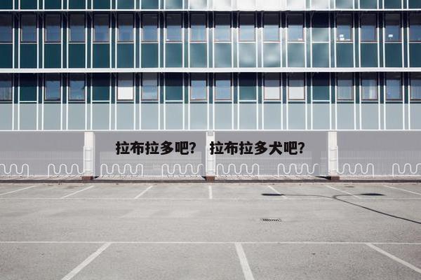 拉布拉多吧？ 拉布拉多犬吧？