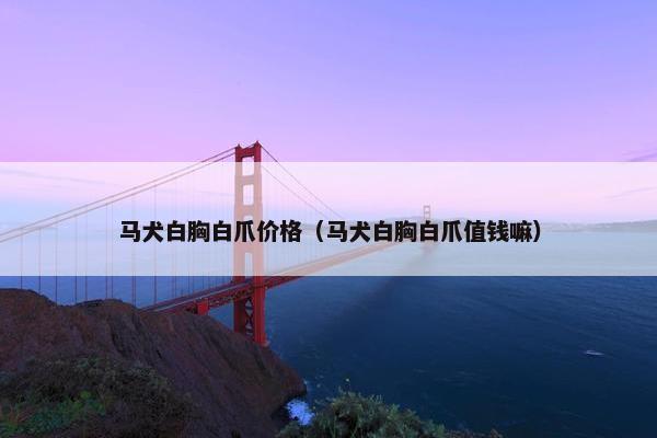 马犬白胸白爪价格（马犬白胸白爪值钱嘛）