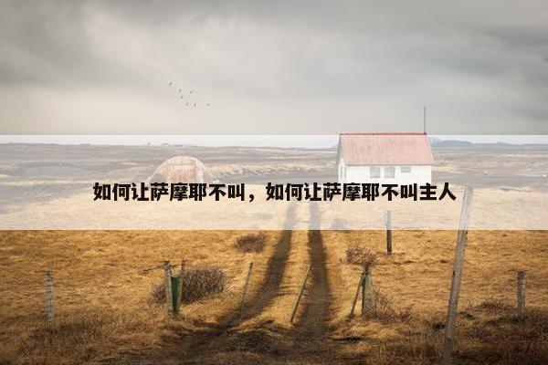 如何让萨摩耶不叫，如何让萨摩耶不叫主人