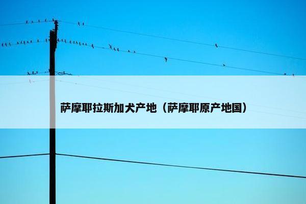 萨摩耶拉斯加犬产地（萨摩耶原产地国）