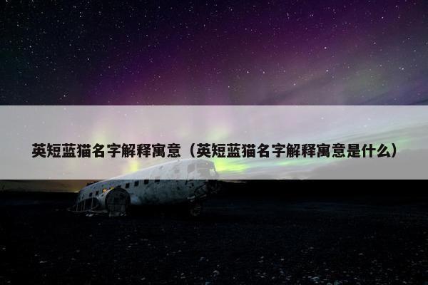 英短蓝猫名字解释寓意（英短蓝猫名字解释寓意是什么）