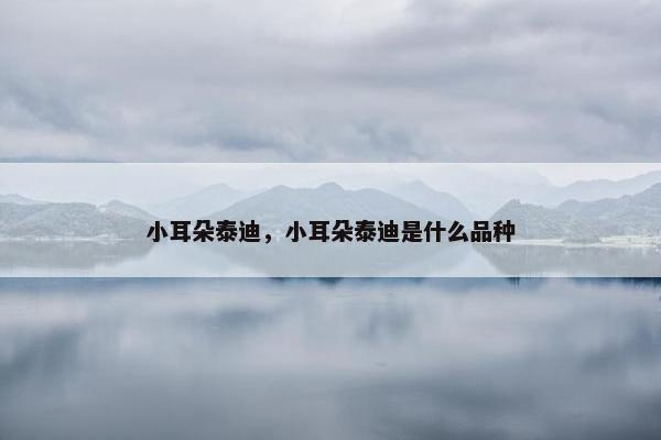 小耳朵泰迪，小耳朵泰迪是什么品种