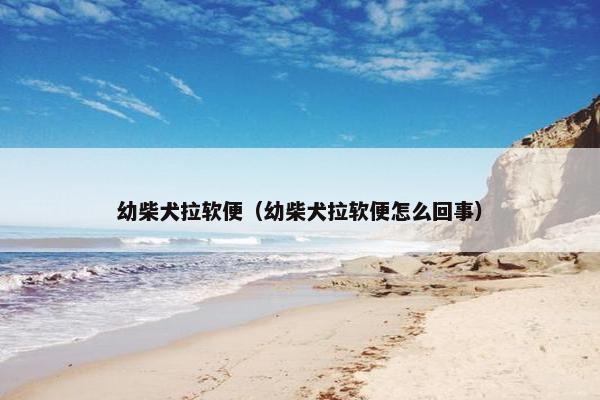 幼柴犬拉软便（幼柴犬拉软便怎么回事）