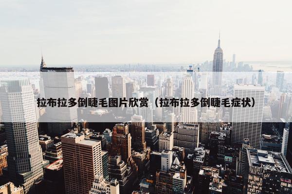 拉布拉多倒睫毛图片欣赏（拉布拉多倒睫毛症状）