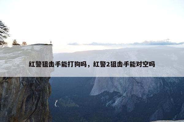 红警狙击手能打狗吗，红警2狙击手能对空吗