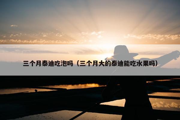 三个月泰迪吃泡吗（三个月大的泰迪能吃水果吗）