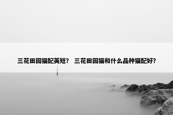 三花田园猫配英短？ 三花田园猫和什么品种猫配好？
