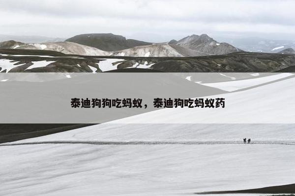 泰迪狗狗吃蚂蚁，泰迪狗吃蚂蚁药