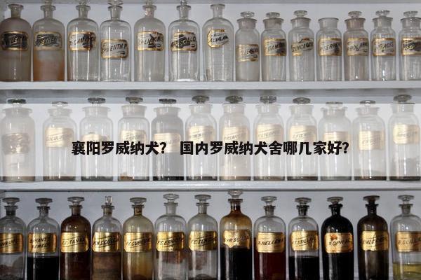 襄阳罗威纳犬？ 国内罗威纳犬舍哪几家好？