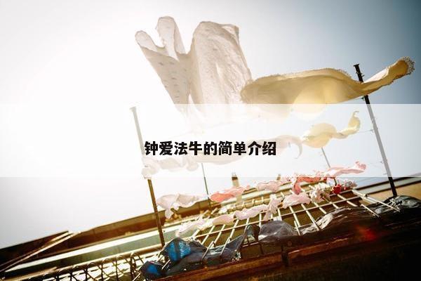 钟爱法牛的简单介绍