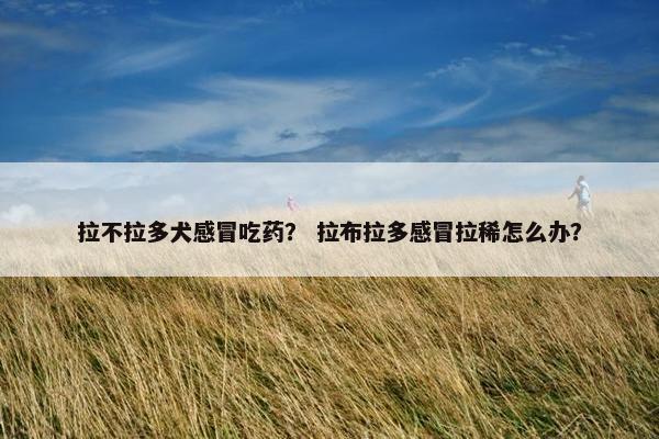 拉不拉多犬感冒吃药？ 拉布拉多感冒拉稀怎么办？