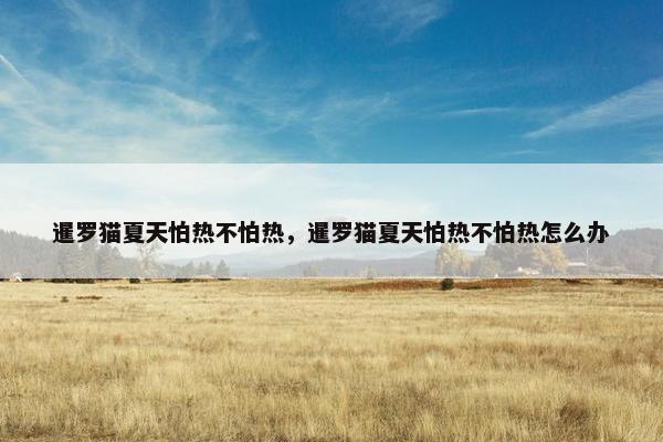 暹罗猫夏天怕热不怕热，暹罗猫夏天怕热不怕热怎么办