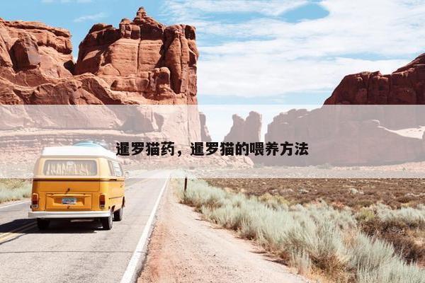 暹罗猫药，暹罗猫的喂养方法