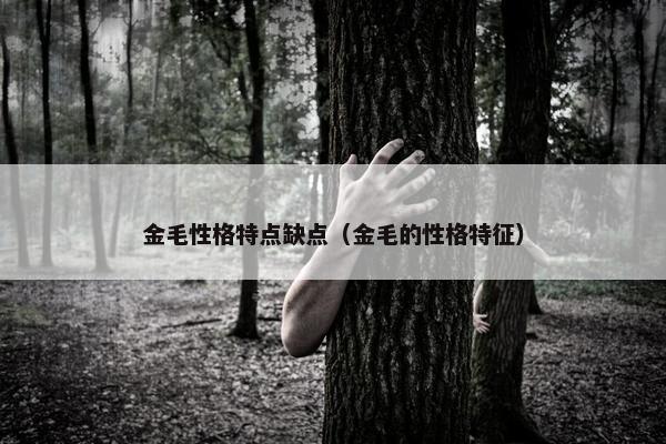 金毛性格特点缺点（金毛的性格特征）