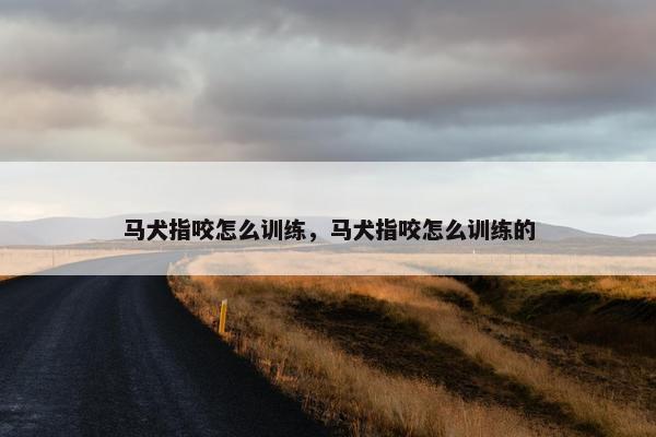 马犬指咬怎么训练，马犬指咬怎么训练的