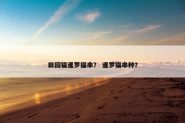 田园猫暹罗猫串？ 暹罗猫串种？