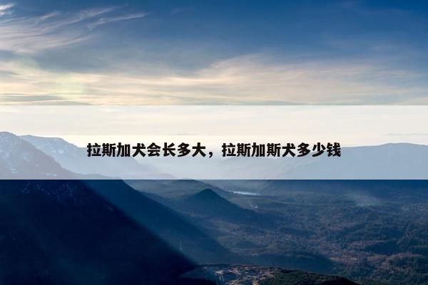 拉斯加犬会长多大，拉斯加斯犬多少钱