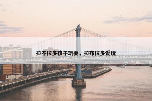 拉不拉多孩子玩耍，拉布拉多爱玩